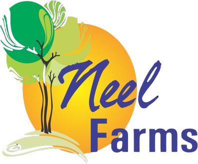 Neel Farms and Resort